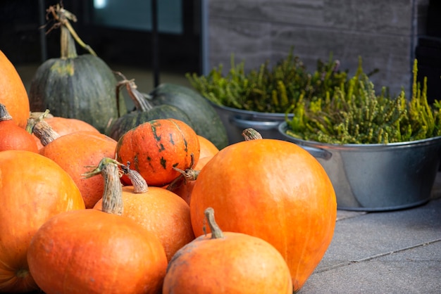 Zucca di Halloween. Zucca su uno sfondo di fieno in stile rustico. Sfondo per Halloween. Posto per il testo