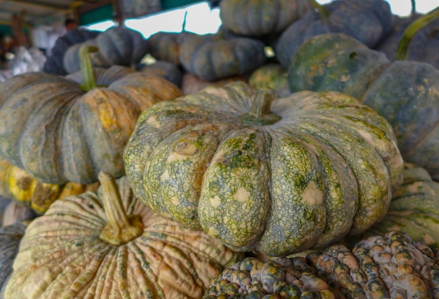 Zucca di primo piano nel mercato