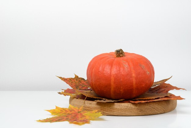 Zucca e foglie di autunno su fondo bianco