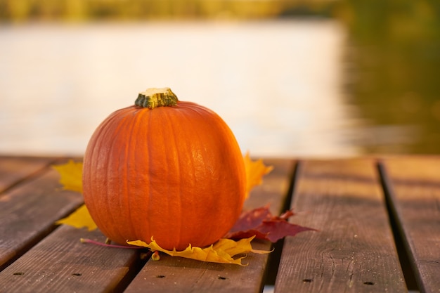 Zucca e foglie di autunno su tavole di legno con lago sullo sfondo.