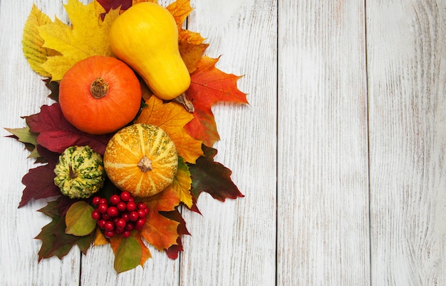 Zucca e foglie di sfondo