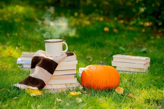 Zucca e libri con una tazza di caffè sono su un prato verde in un giardino