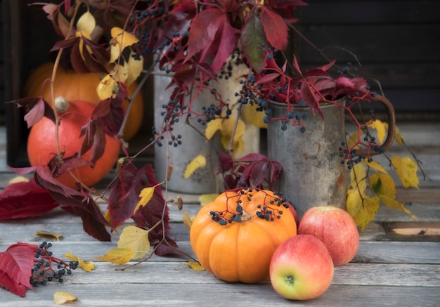 zucca e mele