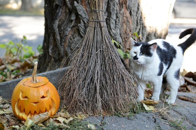 Zucca e scopa per la festa di Halloween