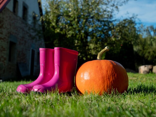 Zucca e stivali di gomma su un'erba sull'iarda ad ottobre