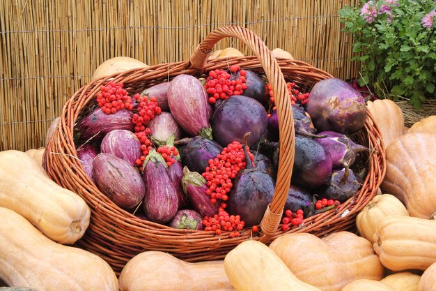 Zucca e verdure biologiche in cesto di rattan sulla fiera agricola Concetto di tempo autunnale di raccolta