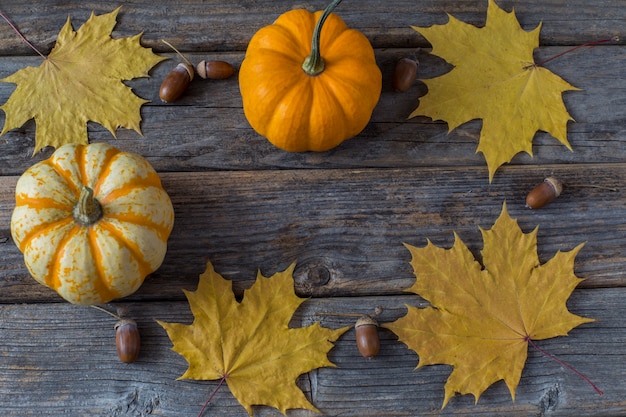 zucca, foglie d&#39;arancio di acero e ghianda