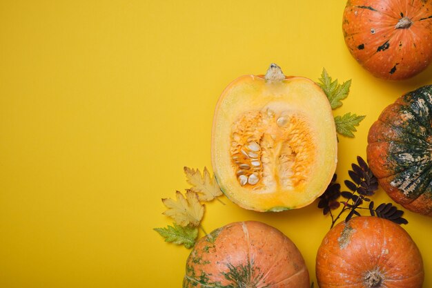 Zucca fresca su sfondo giallo, zucca tagliata a metà e alcune zucche insolite su foglie autunnali gialle