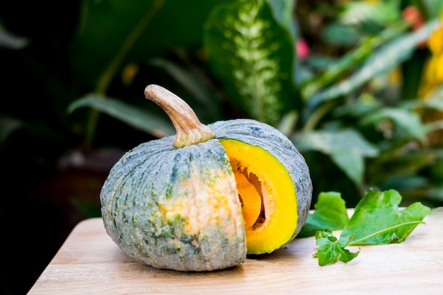 Zucca fresca sul tavolo di legno