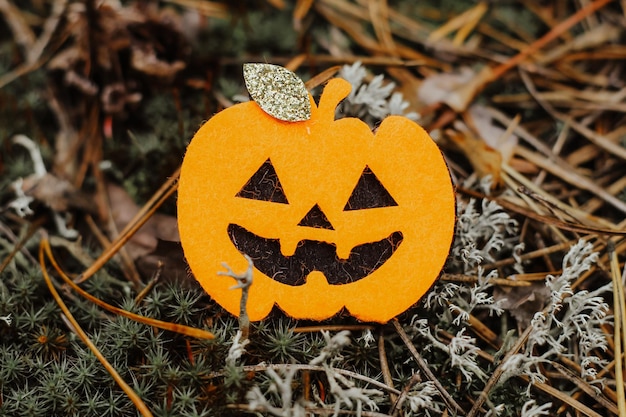 Zucca giocattolo Jack in feltro nell'arredamento di Halloween della foresta