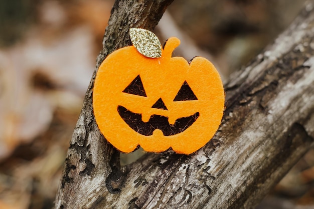 Zucca giocattolo Jack in feltro nell'arredamento di Halloween della foresta