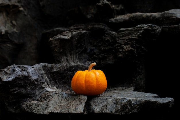 Zucca in un cimitero con sfondo muro di pietra