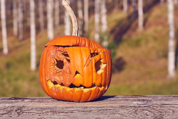 Zucca intagliata di Halloween con paesaggio sfocato sullo sfondo.