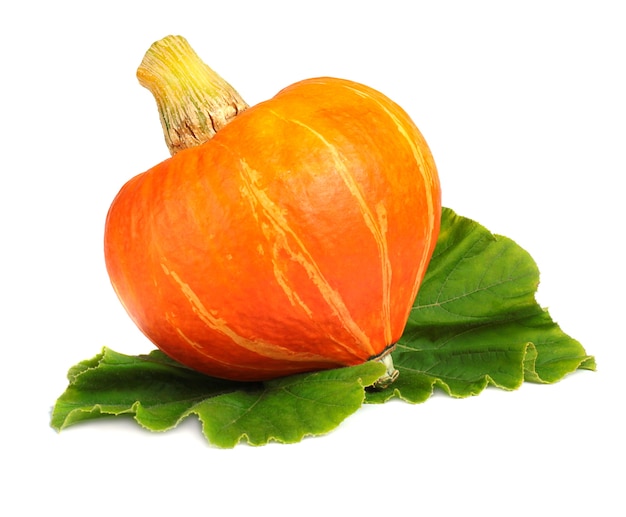 Zucca isolata su bianco