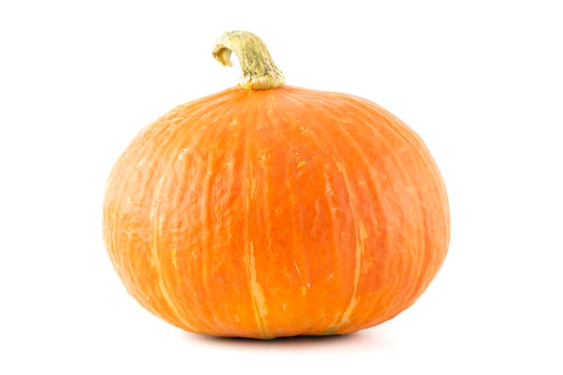 Zucca isolata su uno sfondo bianco