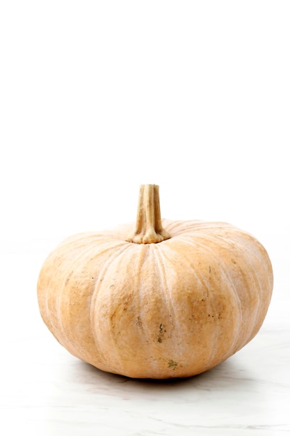 Zucca isolata sullo spazio bianco della copia