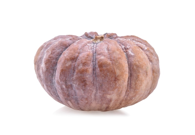 Zucca isolata