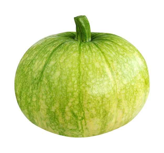 Zucca isolati su sfondo bianco. singola verdura verde.