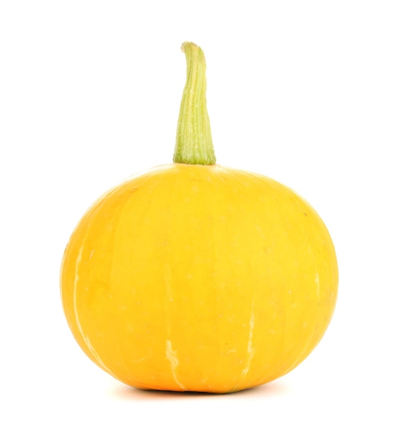 Zucca isolato su bianco