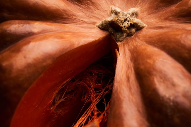 Zucca matura affettata da vicino sfondo arancione