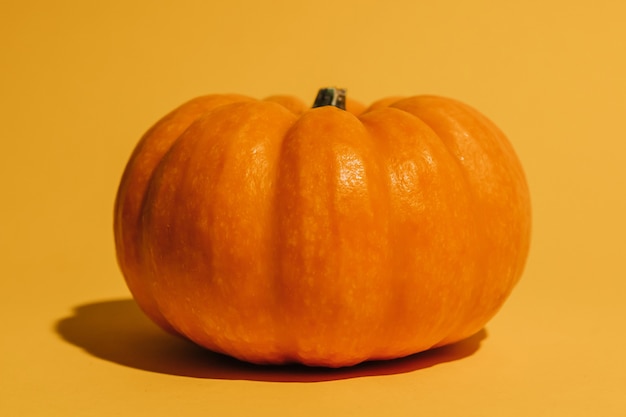 Zucca matura fresca su sfondo arancione. Spazio per il modello di testo Concetto di Halloween