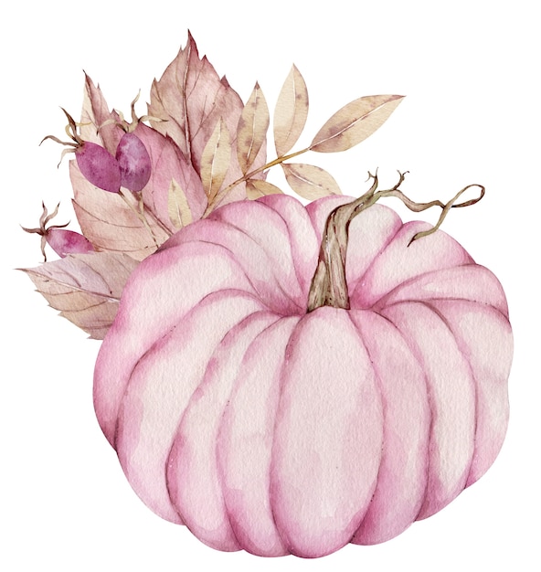 Zucca rosa dell'acquerello decorata con bacche rosa e foglie secche isolati su sfondo bianco.