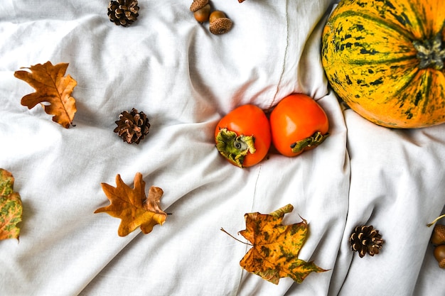 Zucca su sfondo bianco vestiti. Raccolto autunnale. Copia spazio. Cachi e foglie. Sfondo autunnale