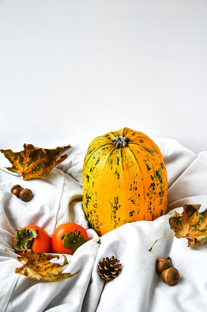 Zucca su sfondo bianco vestiti. Raccolto autunnale. Copia spazio. Cachi e foglie. Sfondo autunnale