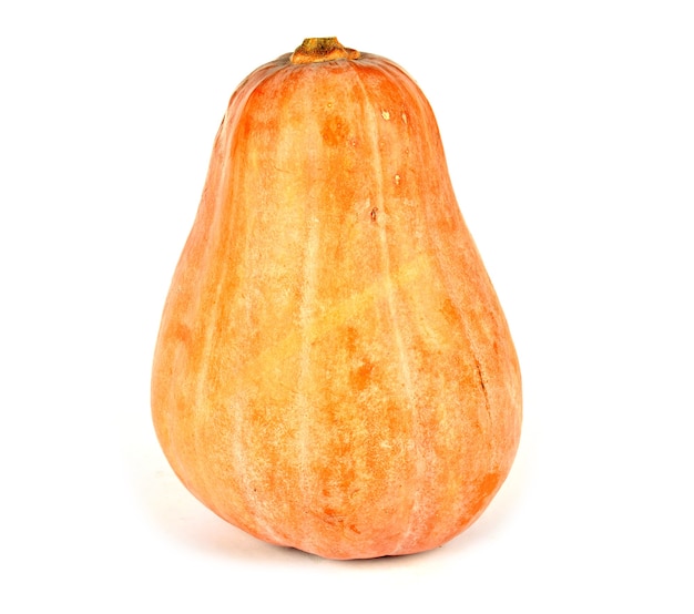 Zucca su sfondo bianco