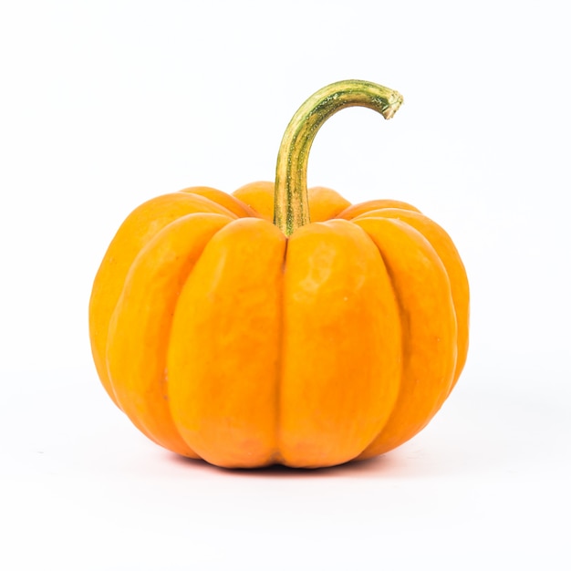Zucca su sfondo bianco