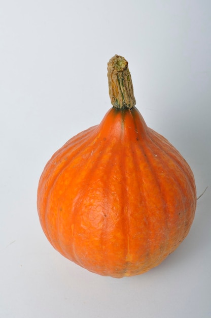 Zucca su uno sfondo bianco