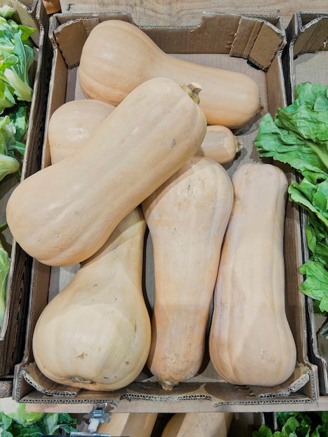 zucca sul mercato