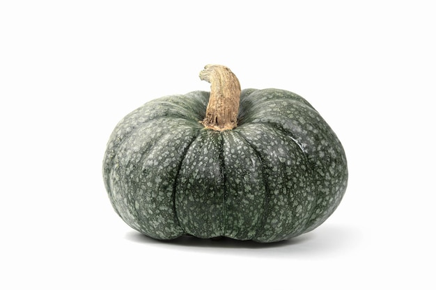 Zucca verde matura brutta su sfondo bianco. Rifiuti organici di frutti troppo maturi. Cibo brutto, frutta. Copia spazio