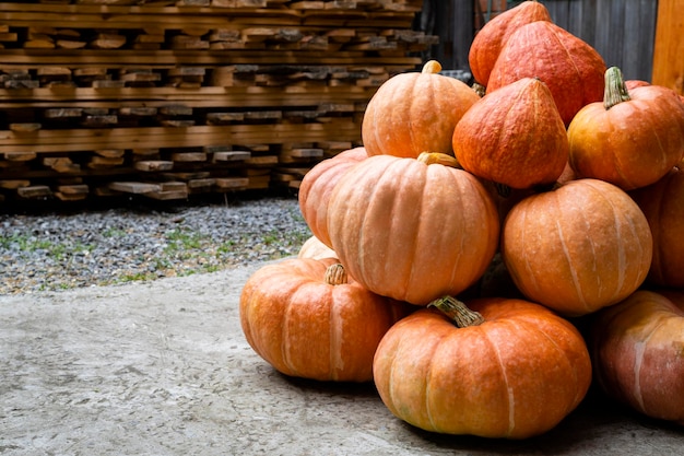 Zucche arancioni perfette ammucchiate in un cortile il concetto della fine del raccolto Spac della copia di Halloween