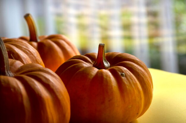 Zucche arancioni su sfondo giallo brillante Giorno del Ringraziamento Decorazione autunnale