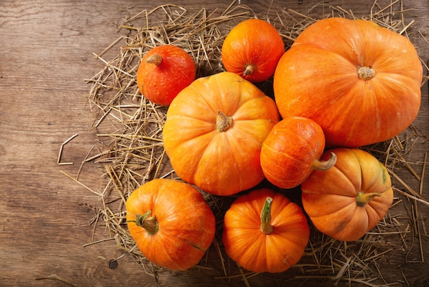 Zucche arancioni sulla tavola di legno. Sfondo raccolto autunnale, vista dall'alto