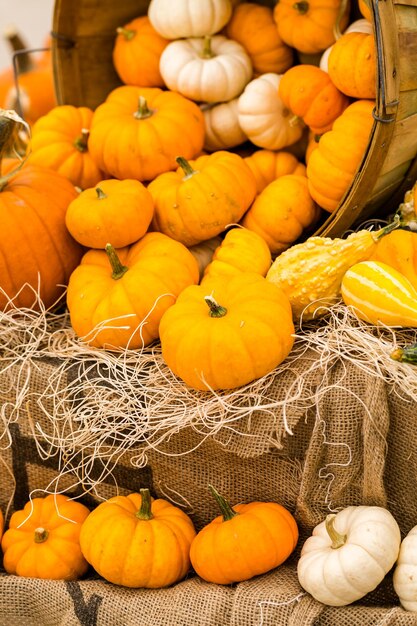 Zucche arancioni sulla zucca.