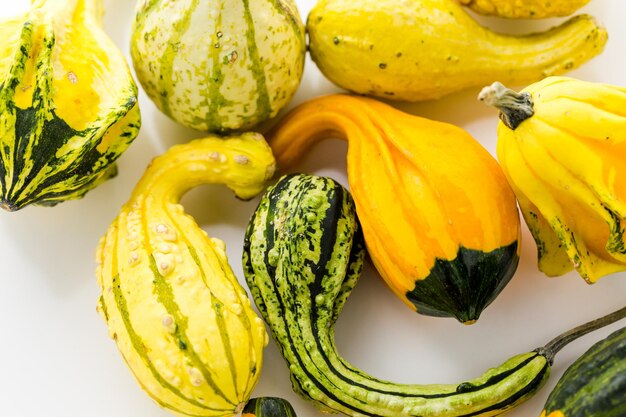 Zucche biologiche fresche dal mercato degli agricoltori locali.