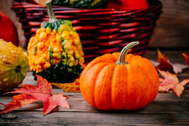 Zucche colorate e foglie di caduta su fondo di legno per Halloween e il giorno del Ringraziamento