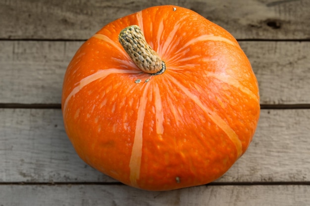 Zucche con bellissimi motivi e motivi naturali possono essere utilizzate per Halloween è davvero affascinante