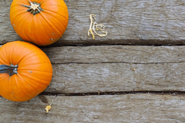 Zucche con bellissimi motivi e motivi naturali possono essere utilizzate per Halloween è davvero affascinante