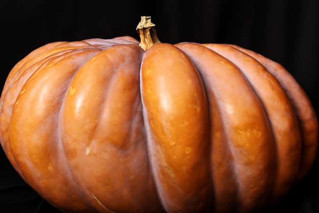 Zucche con bellissimi motivi e motivi naturali possono essere utilizzate per Halloween è davvero affascinante