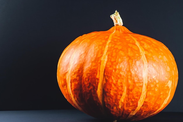 Zucche con bellissimi motivi e motivi naturali possono essere utilizzate per Halloween è davvero affascinante