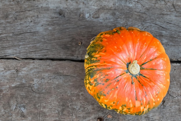 Zucche con bellissimi motivi e motivi naturali possono essere utilizzate per Halloween è davvero affascinante