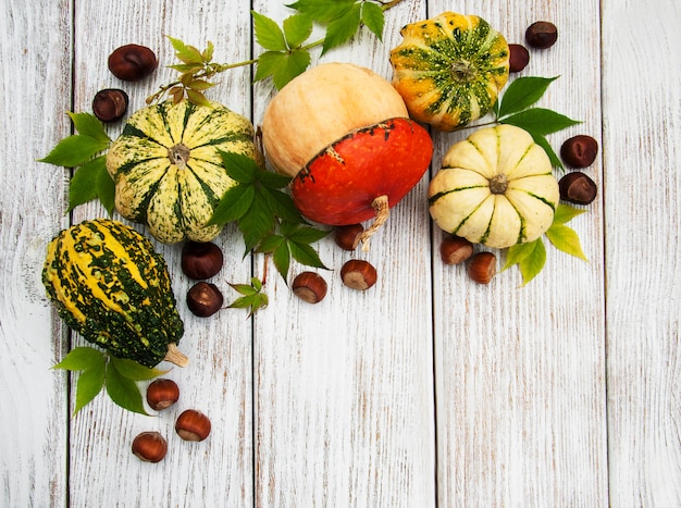 Zucche con foglie d&#39;autunno