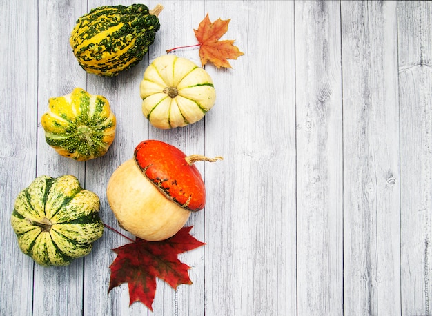 Zucche con foglie d&#39;autunno