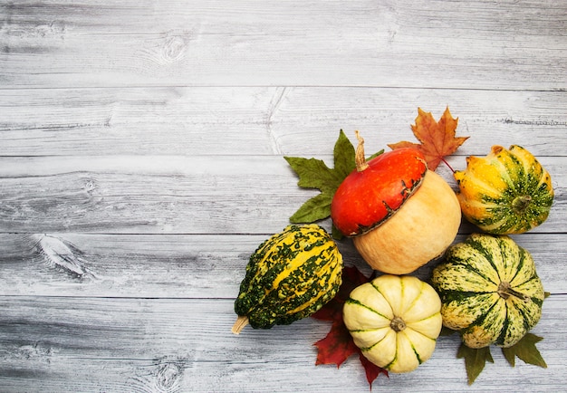 Zucche con foglie d&#39;autunno