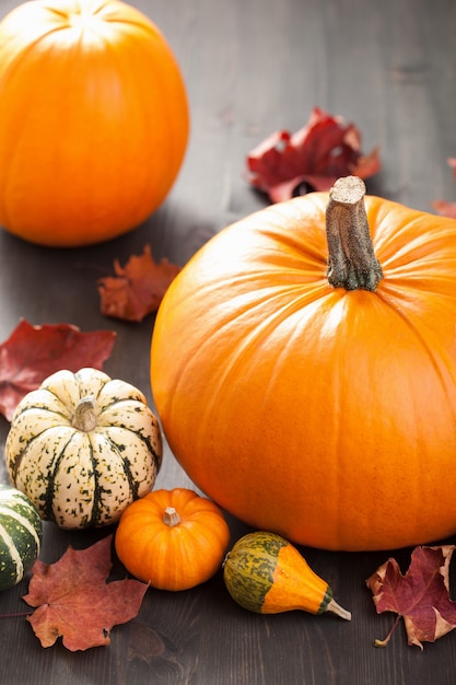 Zucche decorative e foglie d'autunno per halloween