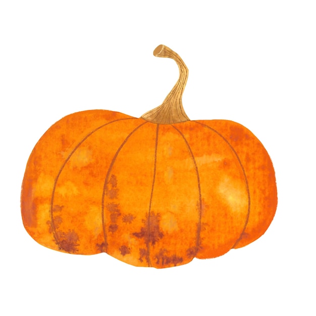 Zucche decorazione di halloween acquerello disegnato a mano immagine isolata vintage che illustra il tema dell'autunno
