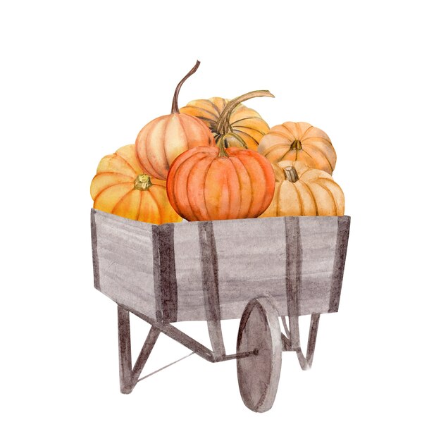 Zucche dell'acquerello in scatola, set di illustrazioni di Halloween, raccolto, elementi di design autunnali del Ringraziamento, autunno, clipart di vacanza isolato su priorità bassa bianca.